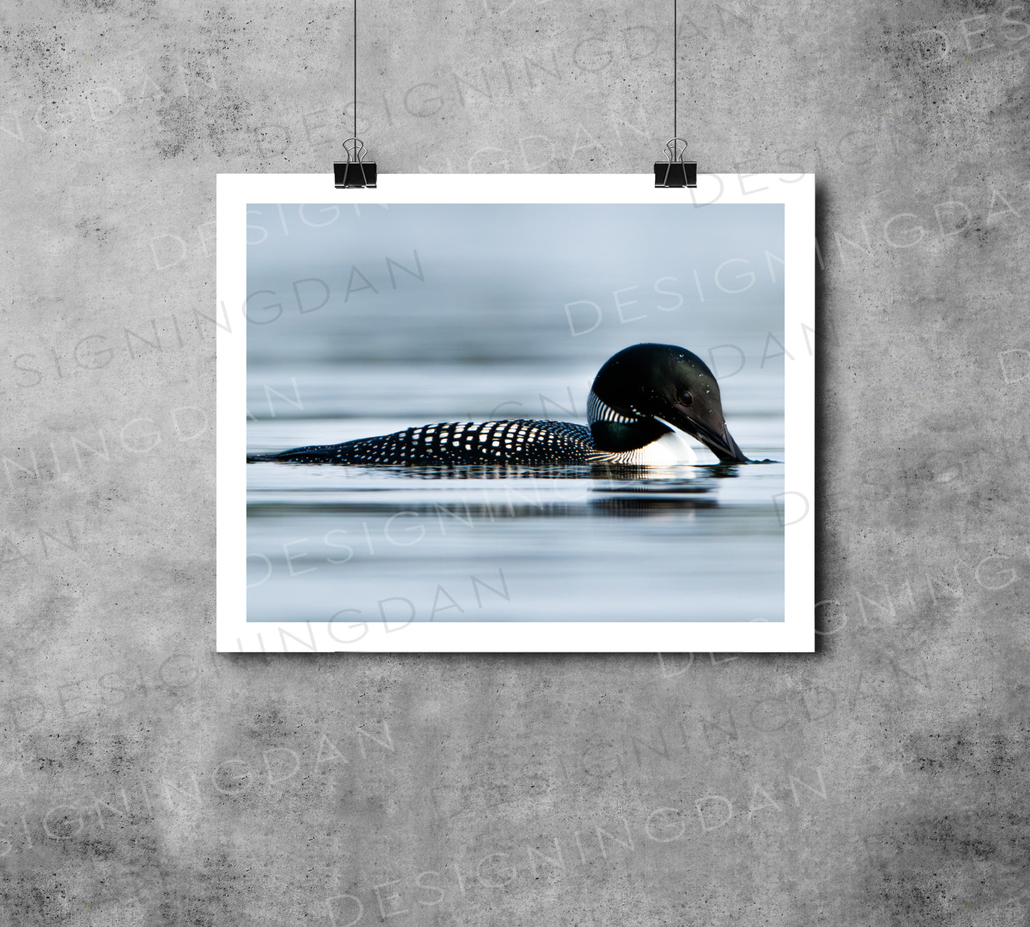 "Loon 2"