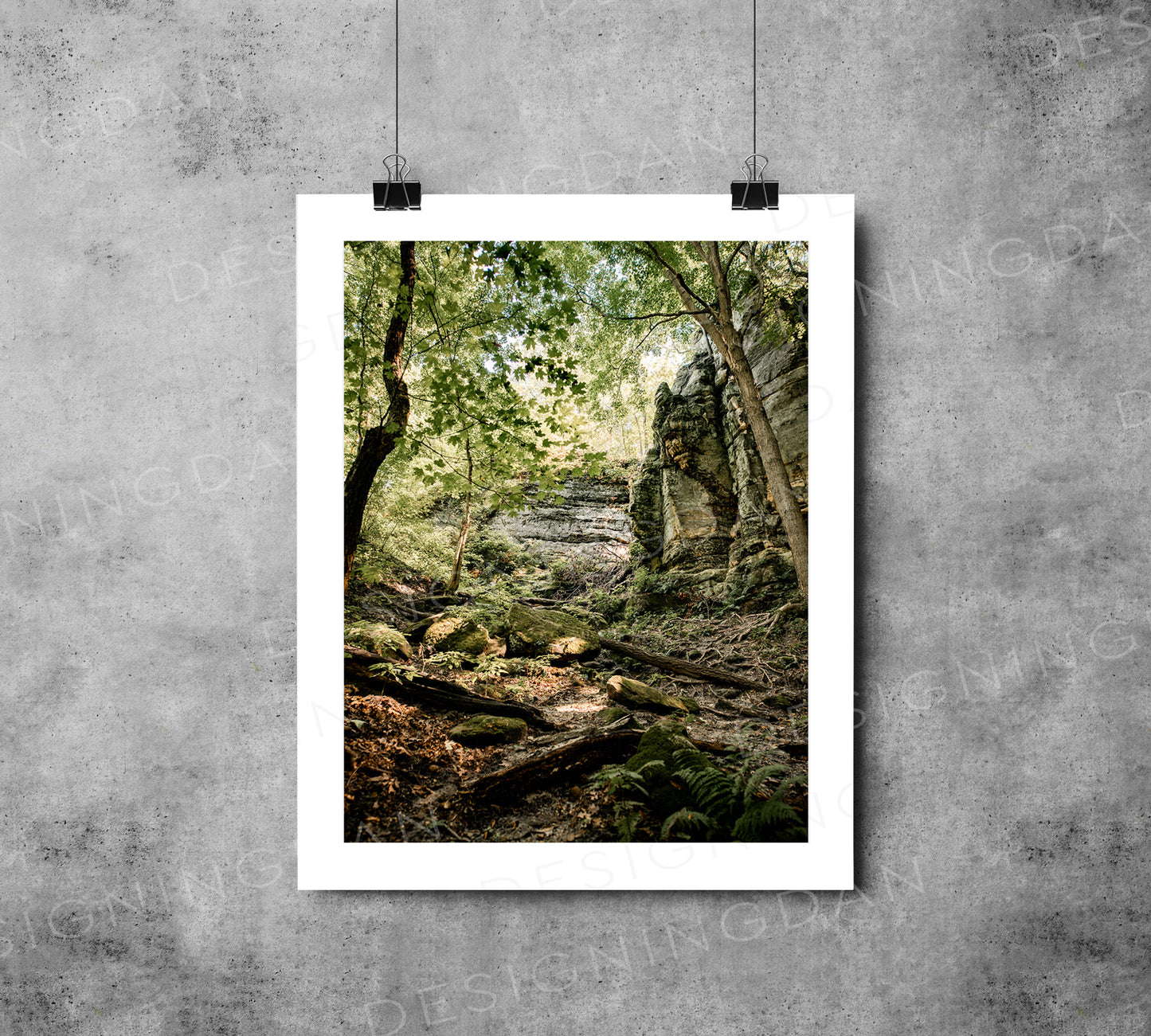"Starved Rock"