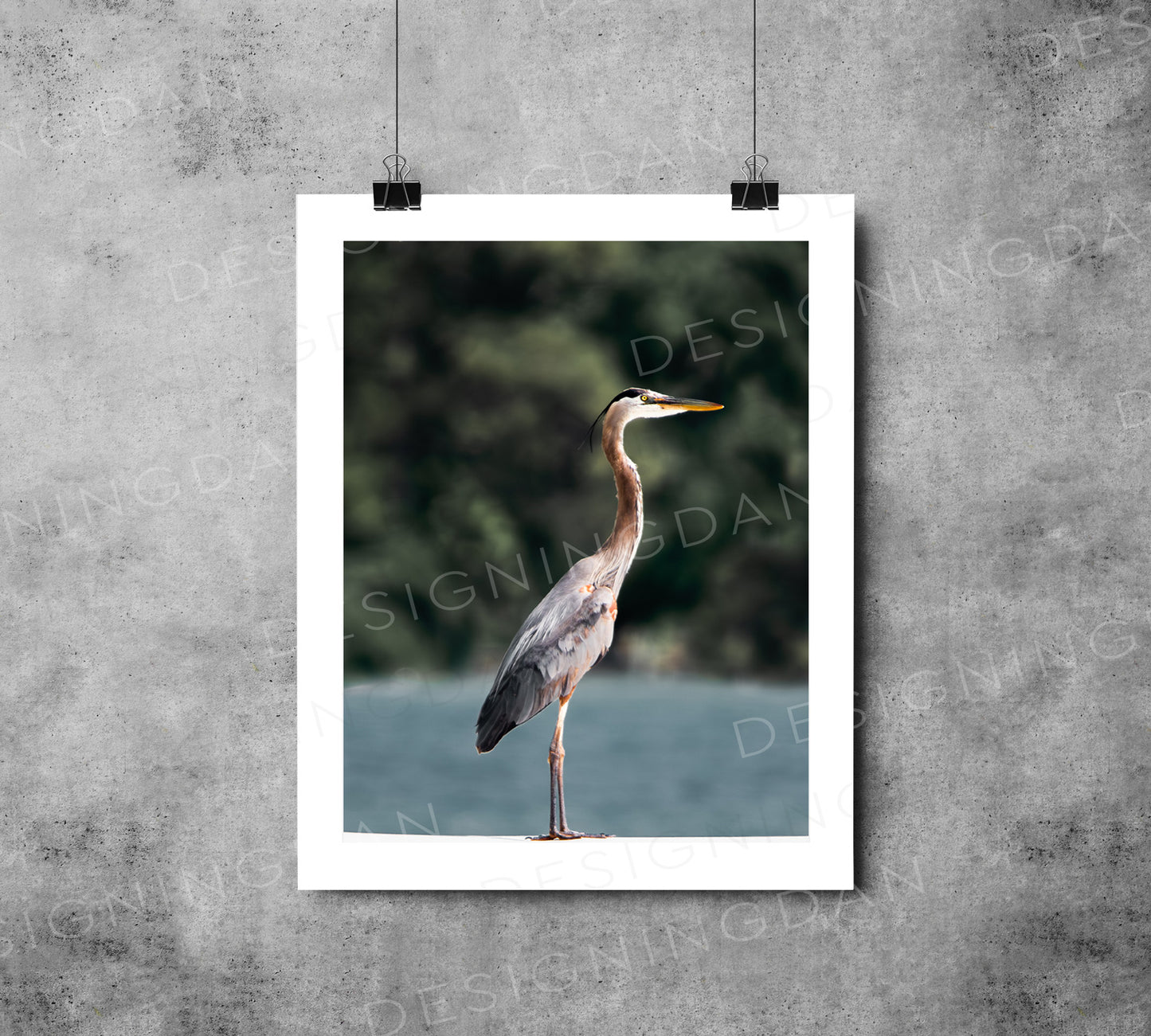 "Blue Heron"