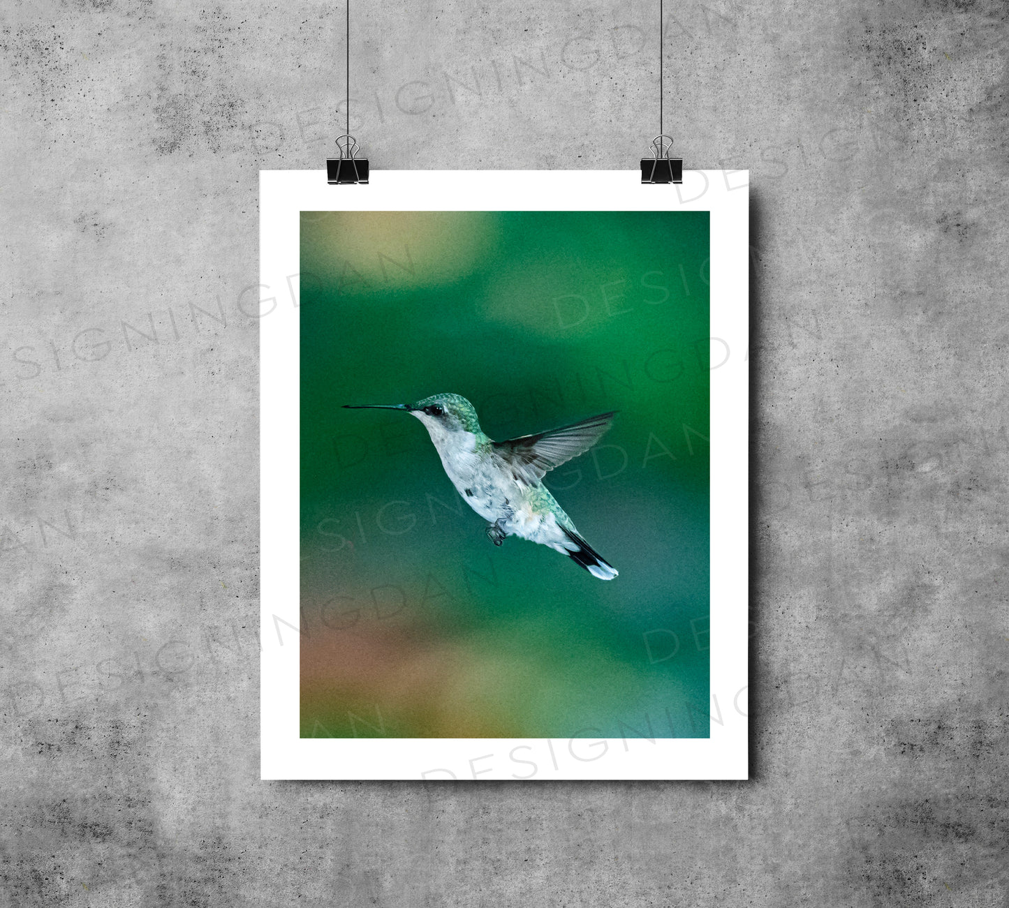 "Hummingbird 2"