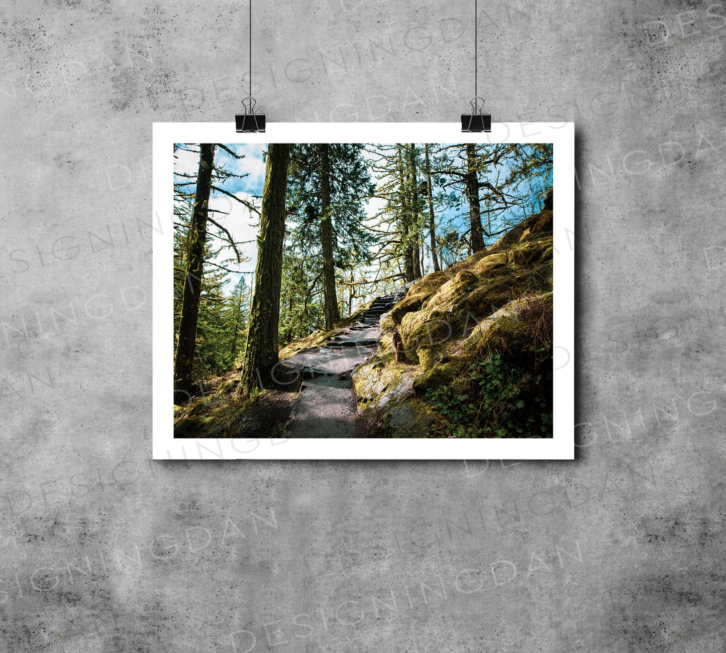 "Oregon Hike"