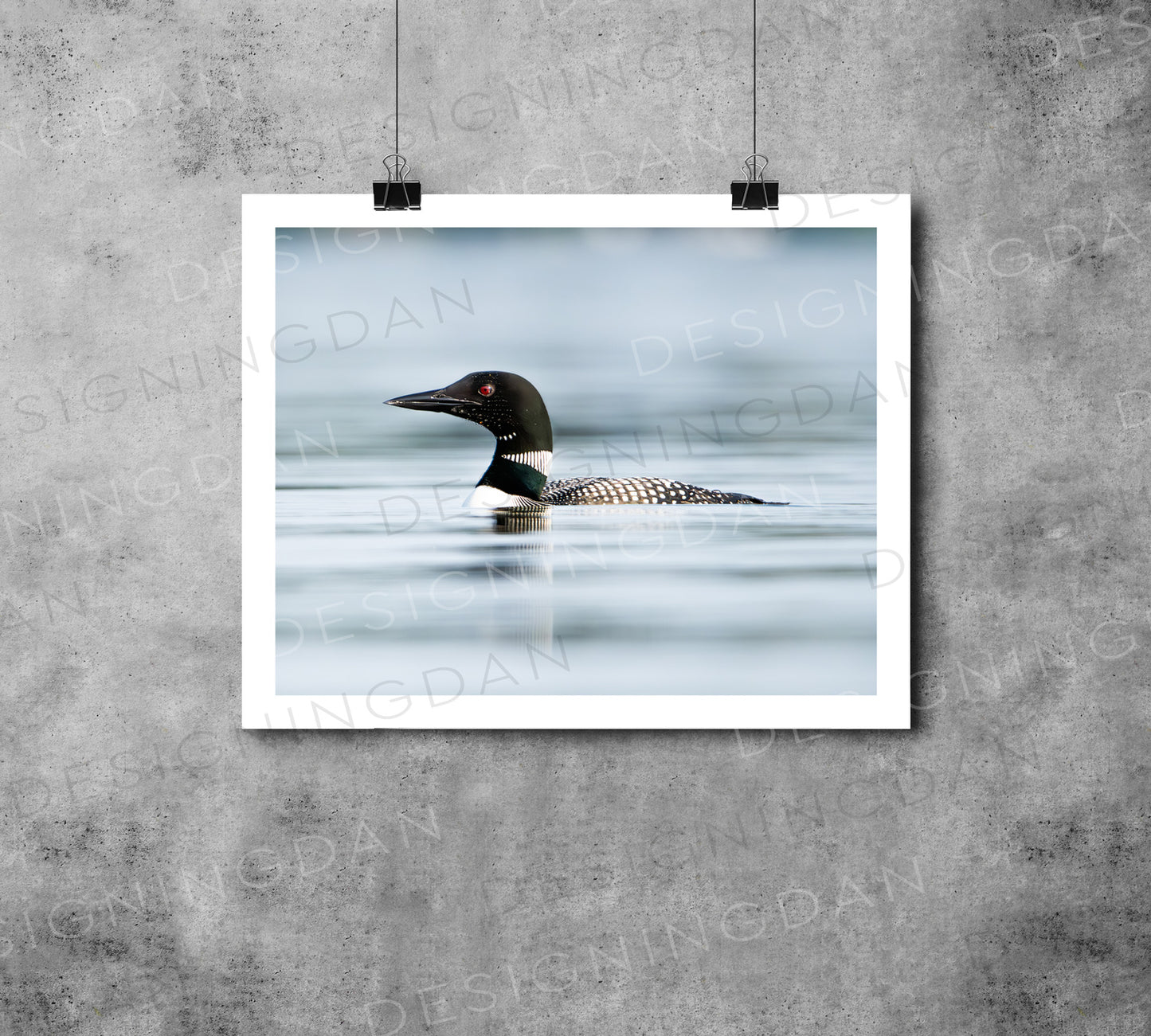"Loon"